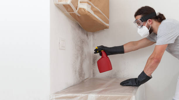 Professional Mold Remediation technician working in Louisburg, NC