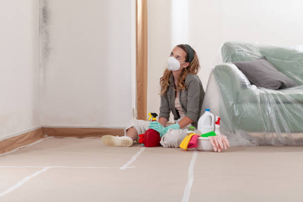 Reliable Mold Remediation contractor in Louisburg, NC by Mold Remediation HQ